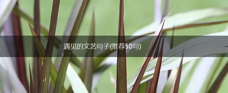 遇见的文艺句子(推荐50句),第1张