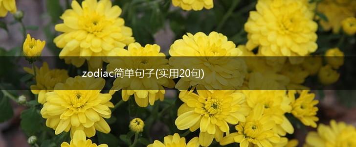 zodiac简单句子(实用20句),第1张