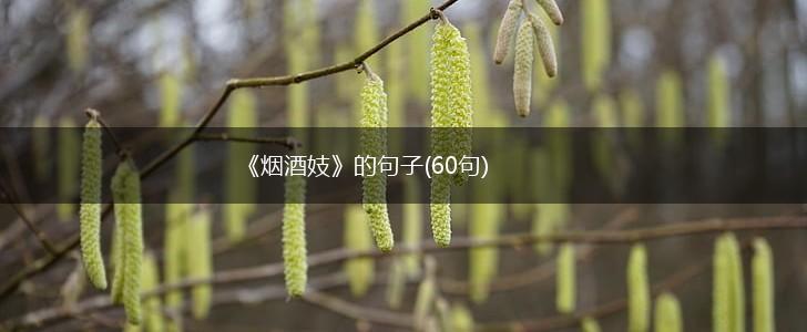 《烟酒妓》的句子(60句),第1张