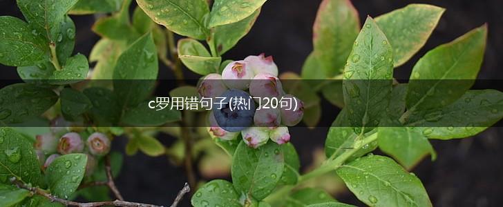 c罗用错句子(热门20句),第1张