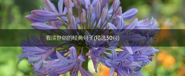 看淡世俗的经典句子(精选50句),第1张
