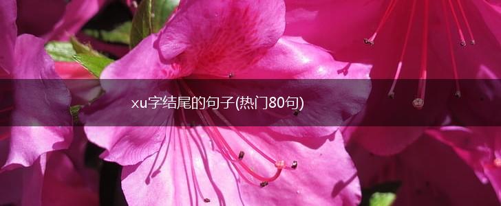 xu字结尾的句子(热门80句),第1张