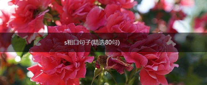s粗口句子(精选80句),第1张