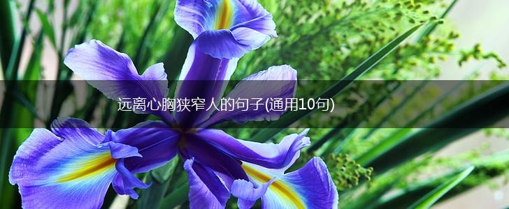 远离心胸狭窄人的句子(通用10句),第1张