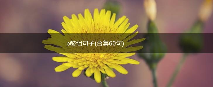 p鼓组句子(合集60句),第1张