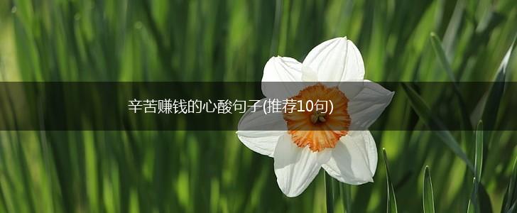辛苦赚钱的心酸句子(推荐10句),第1张