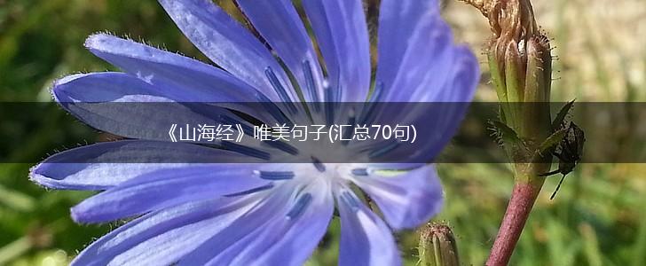 《山海经》唯美句子(汇总70句),第1张