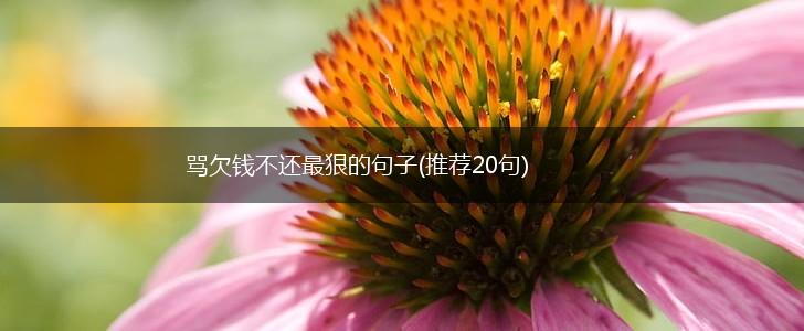 骂欠钱不还最狠的句子(推荐20句),第1张