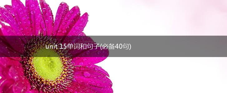 unit 15单词和句子(必备40句),第1张