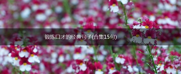 锻炼口才的经典句子(合集15句),第1张