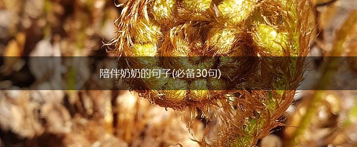 陪伴奶奶的句子(必备30句),第1张