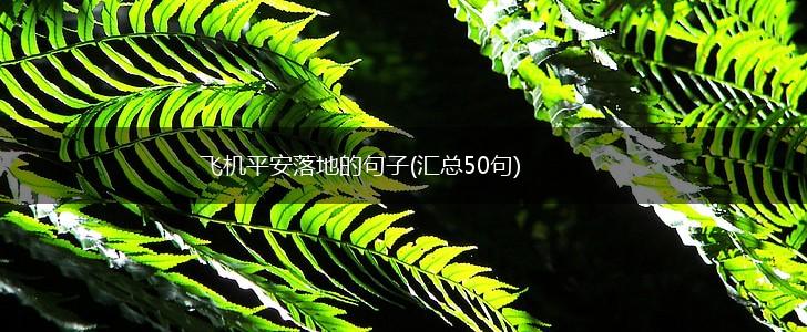 飞机平安落地的句子(汇总50句),第1张