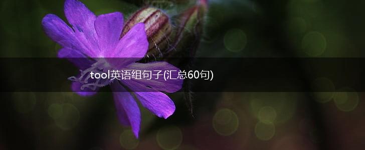 tool英语组句子(汇总60句),第1张
