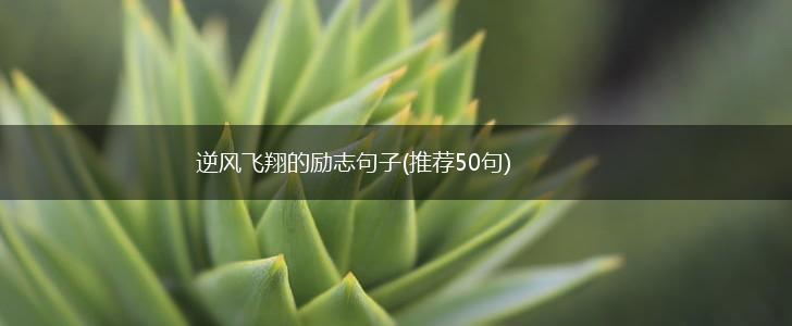 逆风飞翔的励志句子(推荐50句),第1张