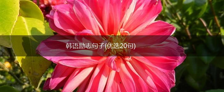 韩语励志句子(优选20句),第1张