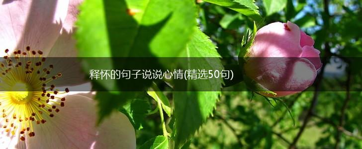 释怀的句子说说心情(精选50句),第1张