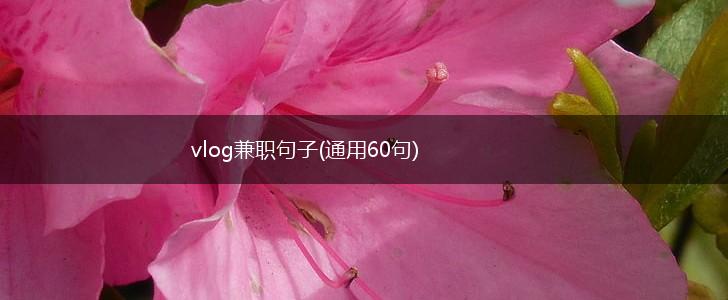 vlog兼职句子(通用60句),第1张