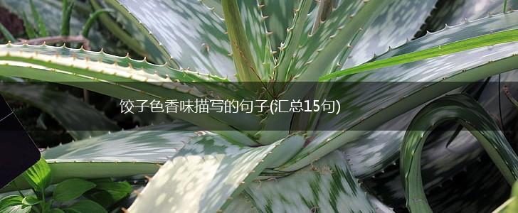 饺子色香味描写的句子(汇总15句),第1张