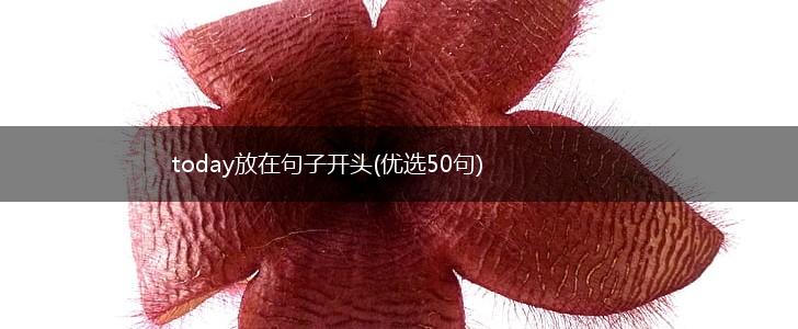 today放在句子开头(优选50句),第1张 today放在句子开头(优选50句),第1张