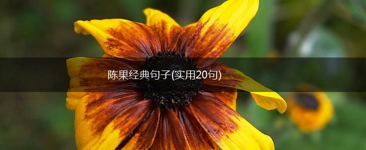 陈果经典句子(实用20句),第1张
