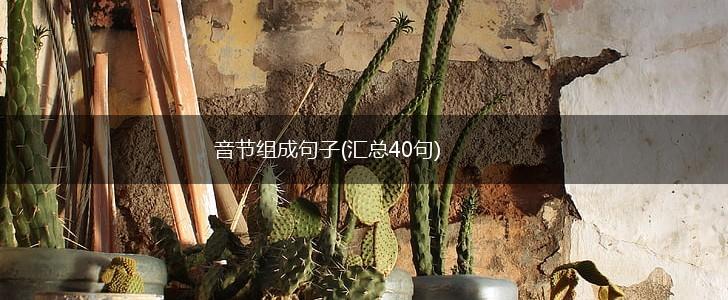 音节组成句子(汇总40句),第1张