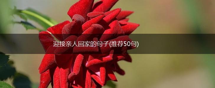 迎接亲人回家的句子(推荐50句),第1张