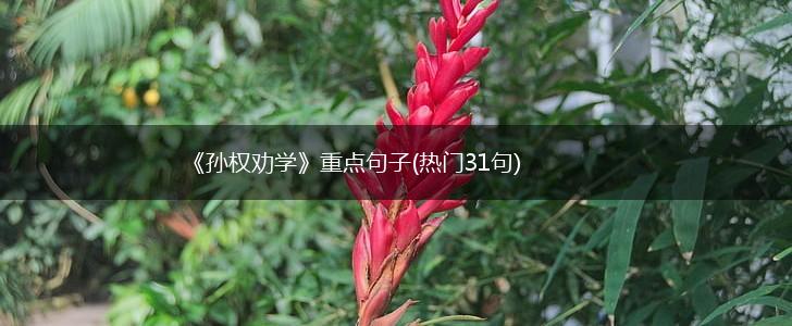 《孙权劝学》重点句子(热门31句),第1张