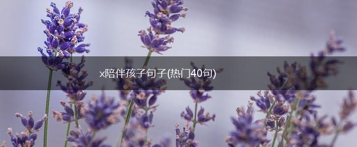 x陪伴孩子句子(热门40句),第1张