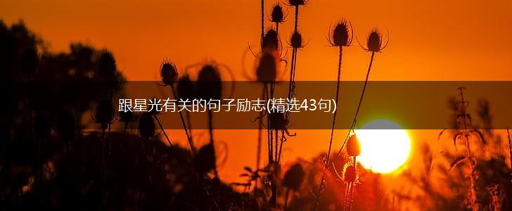 跟星光有关的句子励志(精选43句),第1张