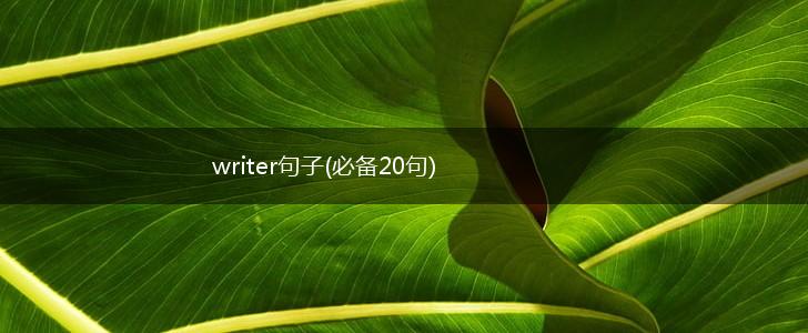 writer句子(必备20句),第1张