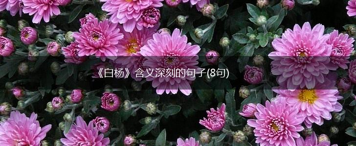 《白杨》含义深刻的句子(8句),第1张
