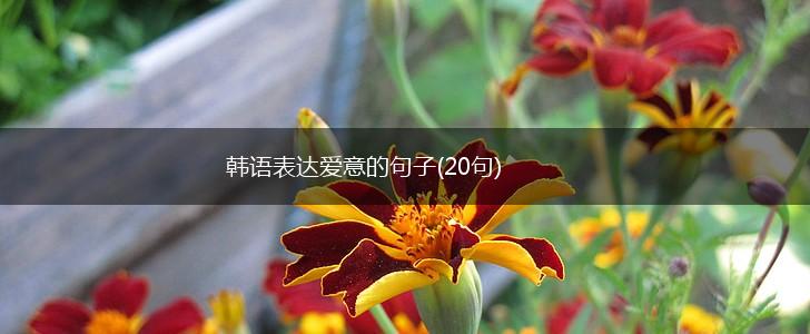 韩语表达爱意的句子(20句),第1张