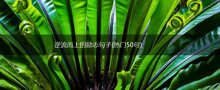 逆流而上的励志句子(热门50句),第1张