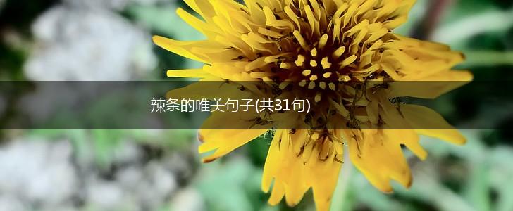 辣条的唯美句子(共31句),第1张