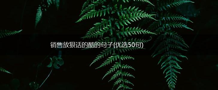销售放狠话的酷的句子(优选50句),第1张