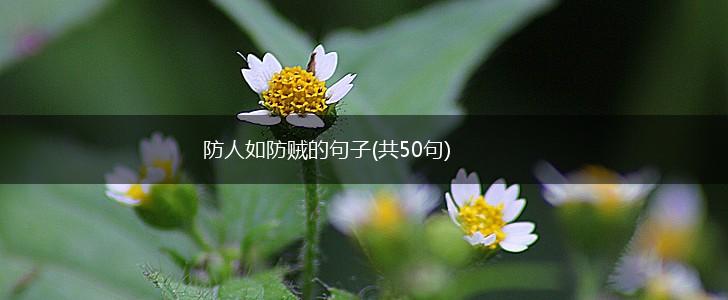 防人如防贼的句子(共50句),第1张