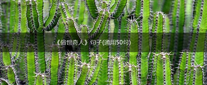 《俗世奇人》句子(通用50句),第1张