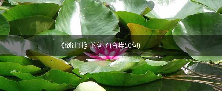 《倒计时》的句子(合集50句),第1张 《倒计时》的句子(合集50句),第1张