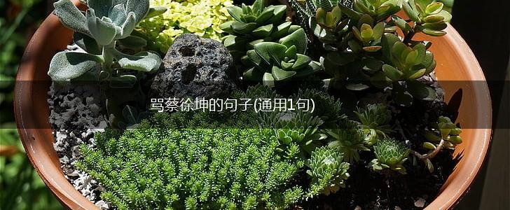骂蔡徐坤的句子(通用1句),第1张