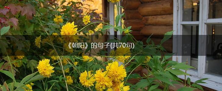 《朝阳》的句子(共70句),第1张 《朝阳》的句子(共70句),第1张