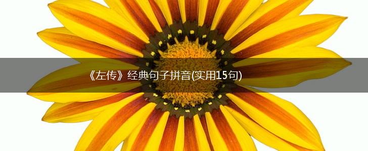 《左传》经典句子拼音(实用15句),第1张