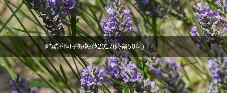 酷酷的句子短短范2017(必备50句),第1张