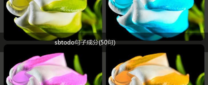 sbtodo句子成分(50句),第1张