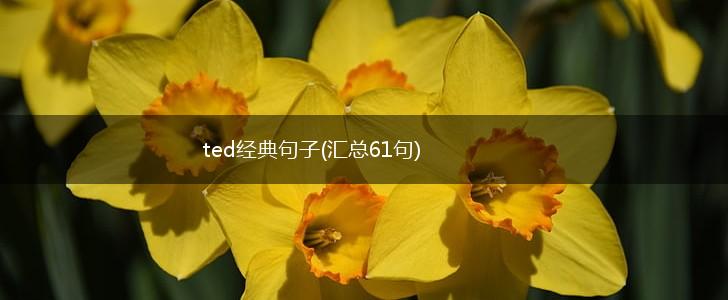 ted经典句子(汇总61句),第1张
