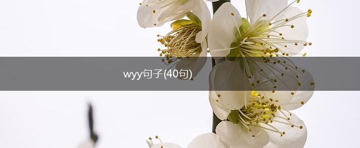 wyy句子(40句),第1张