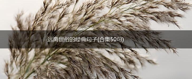 远离世俗的经典句子(合集50句),第1张