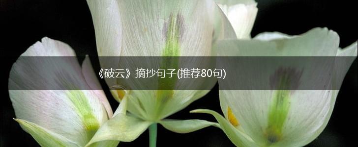《破云》摘抄句子(推荐80句),第1张
