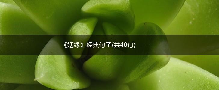 《姻缘》经典句子(共40句),第1张
