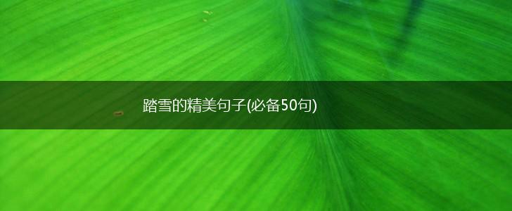 踏雪的精美句子(必备50句),第1张