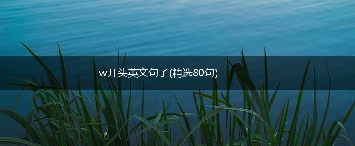w开头英文句子(精选80句),第1张